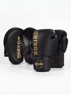 Boxing Gloves & Focus Mitt Training Set