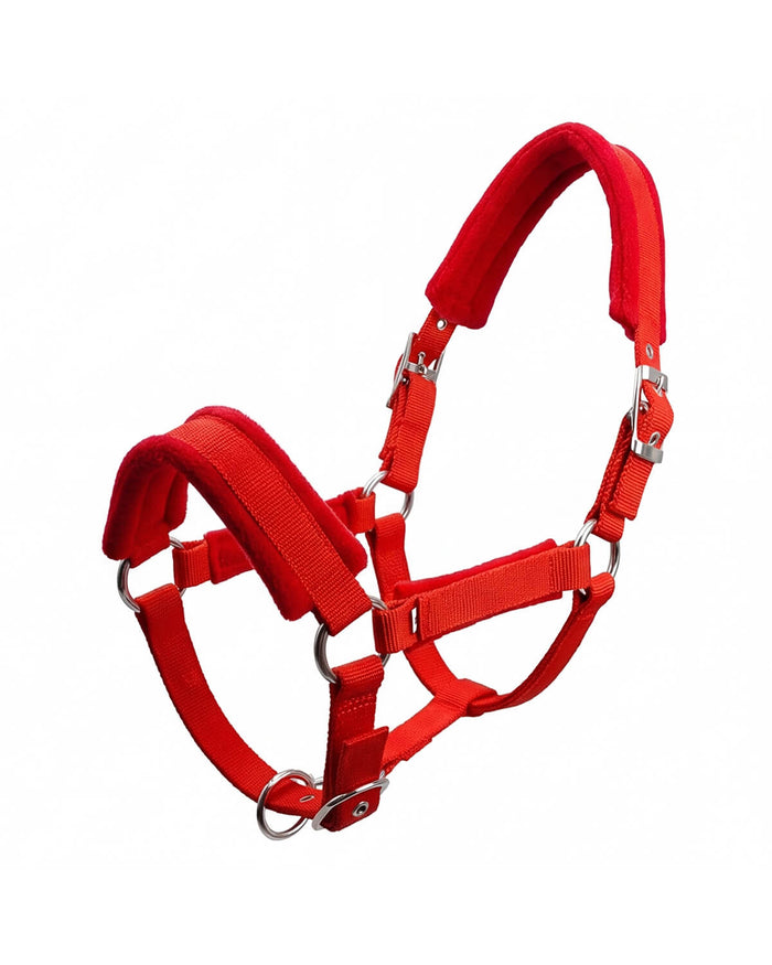 Padded Horse Halter with Adjustable Buckles and Rings