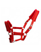 Padded Horse Halter with Adjustable Buckles and Rings