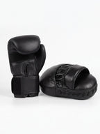 Boxing Gloves & Focus Mitt Training Set