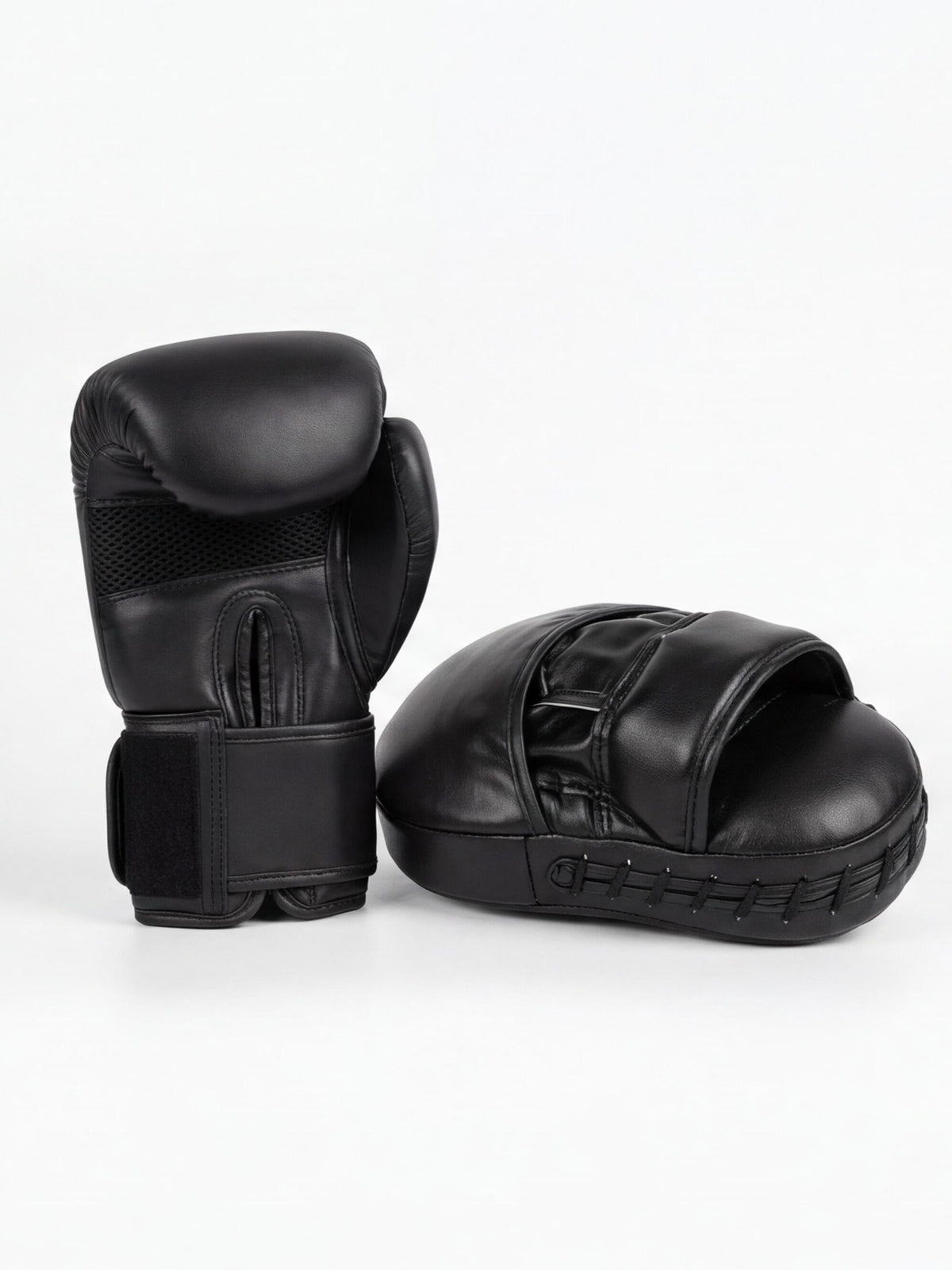 Boxing Gloves & Focus Mitt Training Set