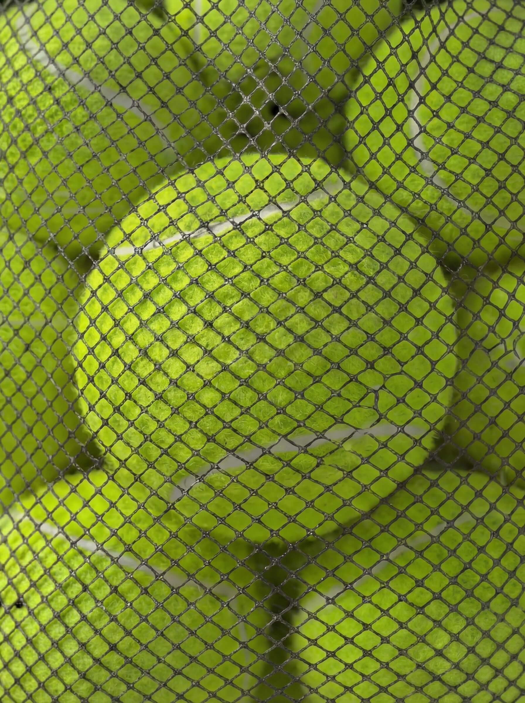12-Pack Tennis Balls with Mesh Carry Bag