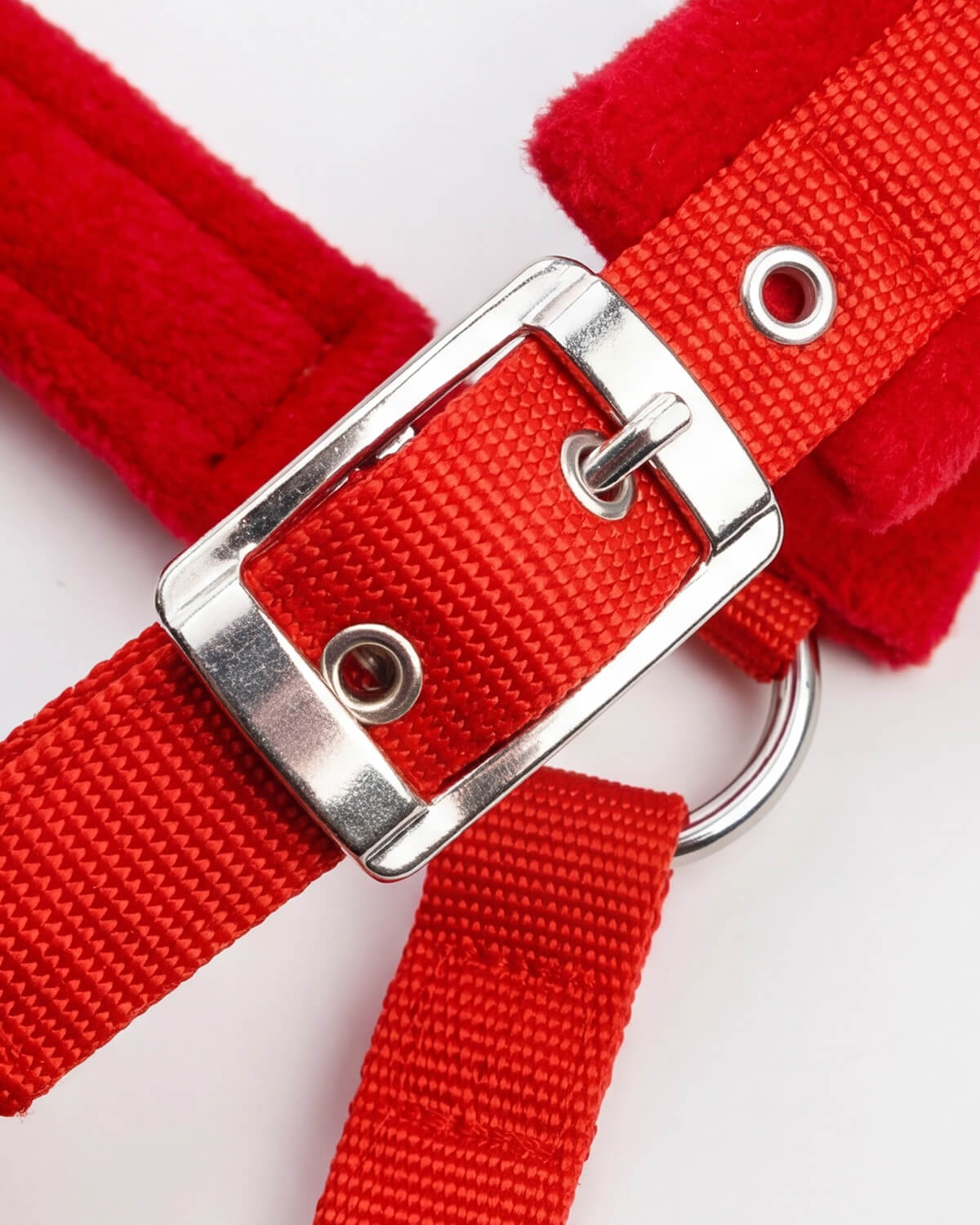 Padded Horse Halter with Adjustable Buckles and Rings