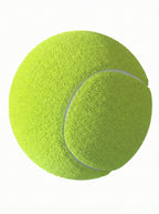 12-Pack Tennis Balls with Mesh Carry Bag