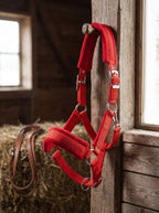 Padded Horse Halter with Adjustable Buckles and Rings
