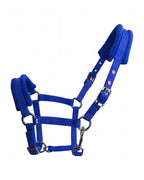 Padded Horse Halter with Adjustable Buckles and Rings