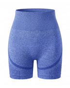 High-Waisted Seamless Training Shorts with Contour Panels