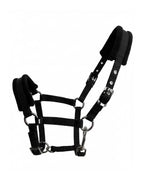Padded Horse Halter with Adjustable Buckles and Rings