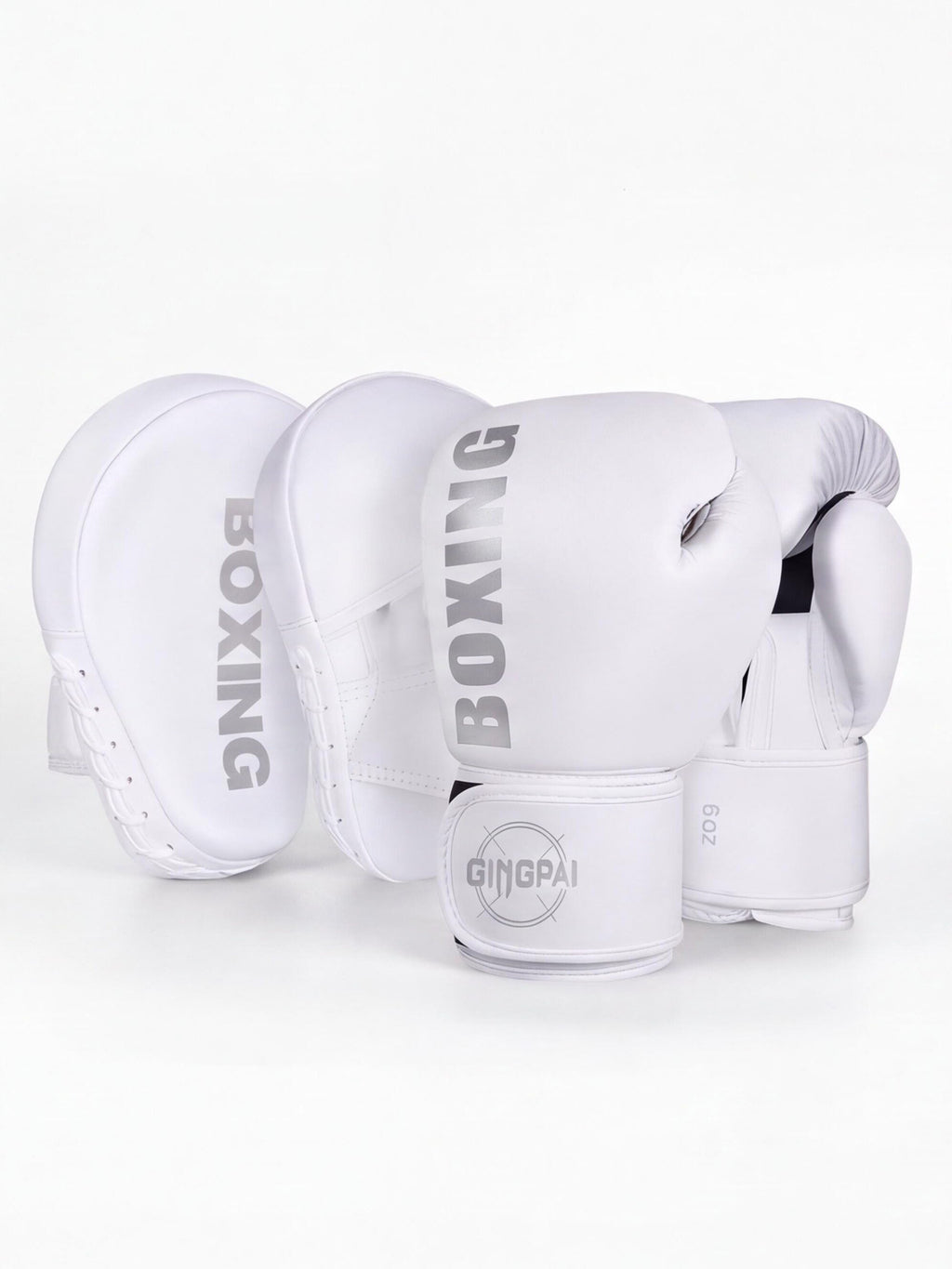 Boxing Gloves & Focus Mitt Training Set