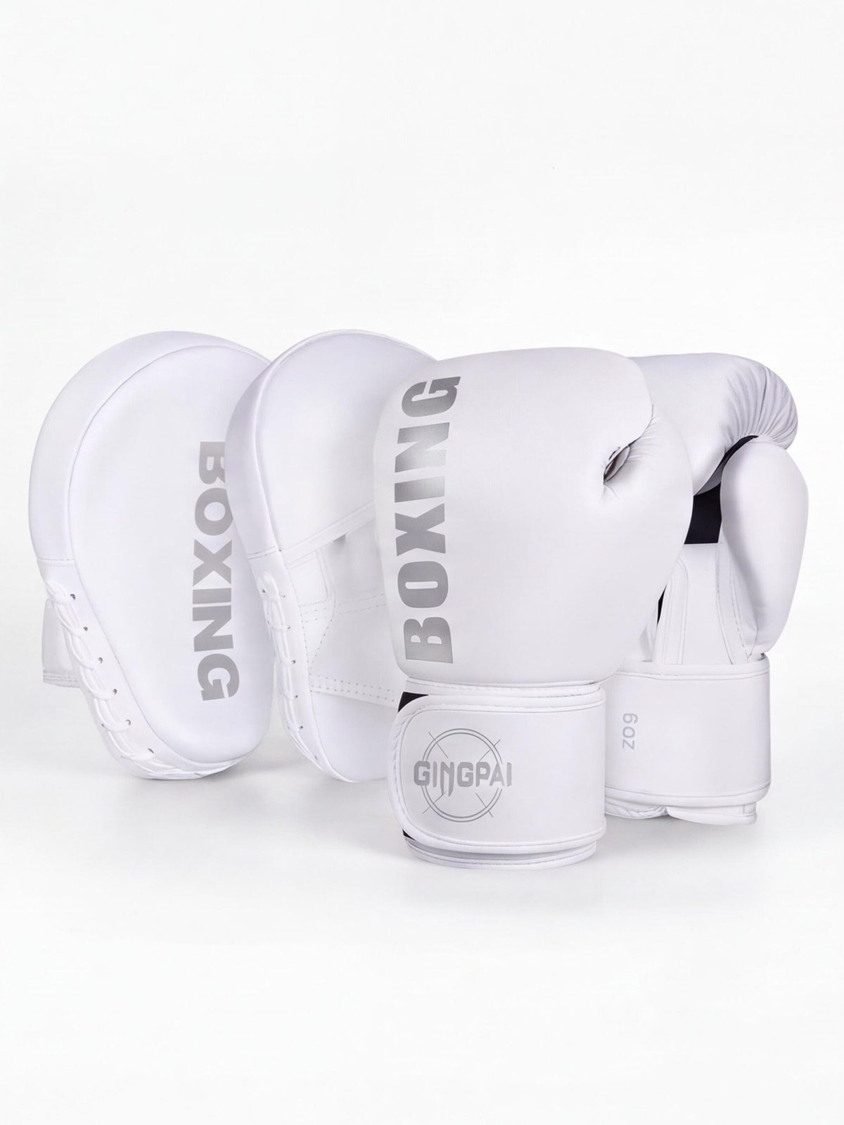 Boxing Gloves & Focus Mitt Training Set