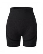 High-Waisted Seamless Training Shorts with Contour Panels