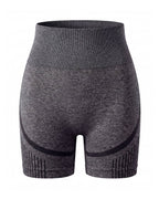 High-Waisted Seamless Training Shorts with Contour Panels